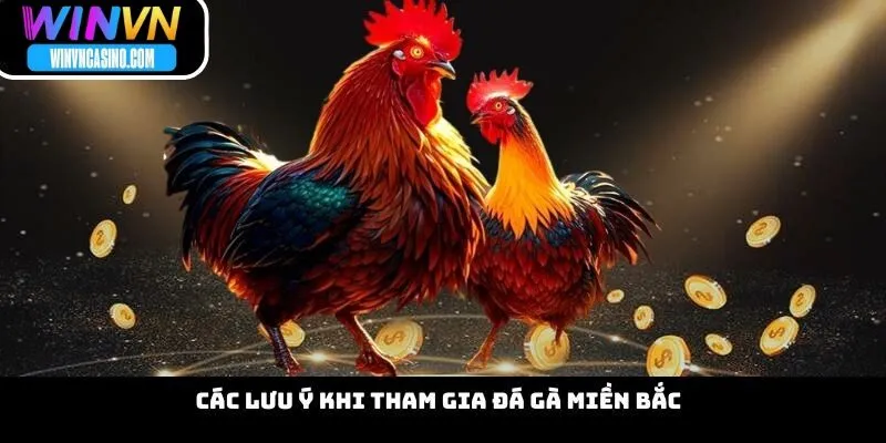 Các Lưu Ý Khi Tham Gia Đá Gà Miền Bắc