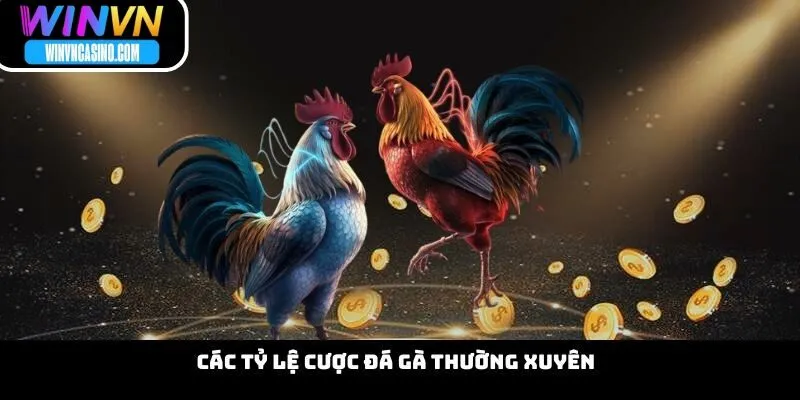 Các Tỷ Lệ Cược Đá Gà Thường Xuyên