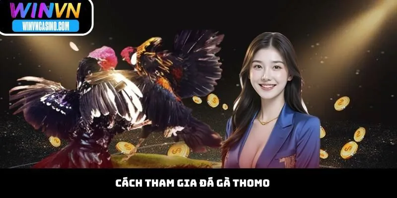 Cách Tham Gia Đá Gà Thomo