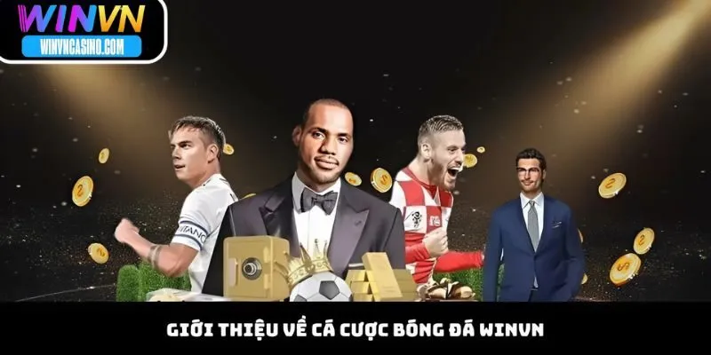Giới Thiệu Về Cá Cược Bóng Đá WINVN