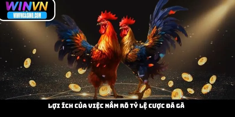 Lợi Ích Của Việc Nắm Rõ Tỷ Lệ Cược Đá Gà