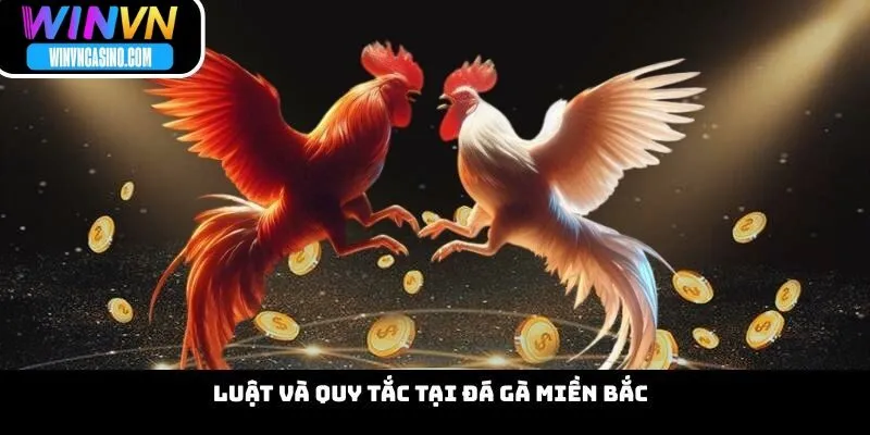 Luật Và Quy Tắc Tại Đá Gà Miền Bắc