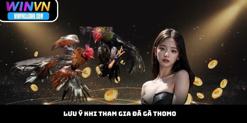 Lưu Ý Khi Tham Gia Đá Gà Thomo