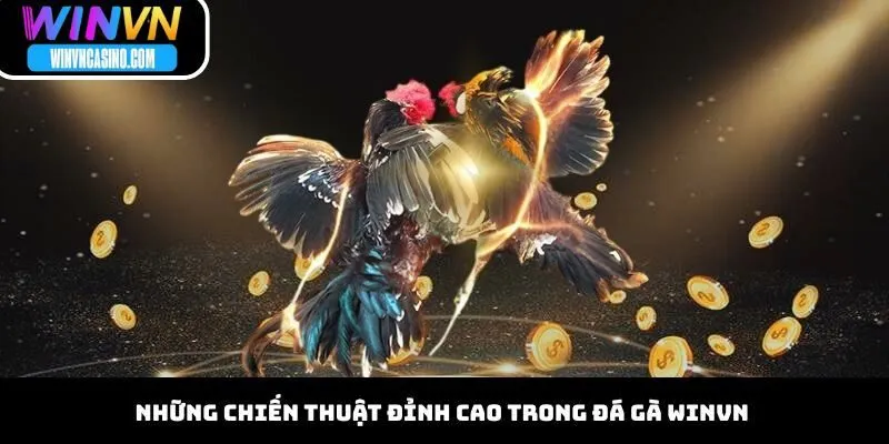 Những chiến thuật đỉnh cao trong đá gà WINVN