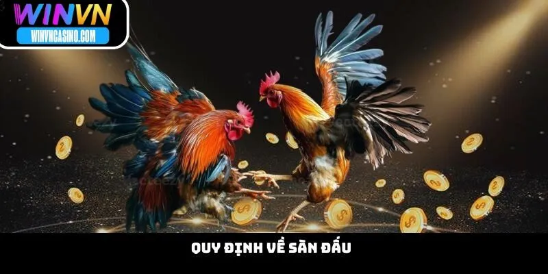 Quy Định Về Sàn Đấu