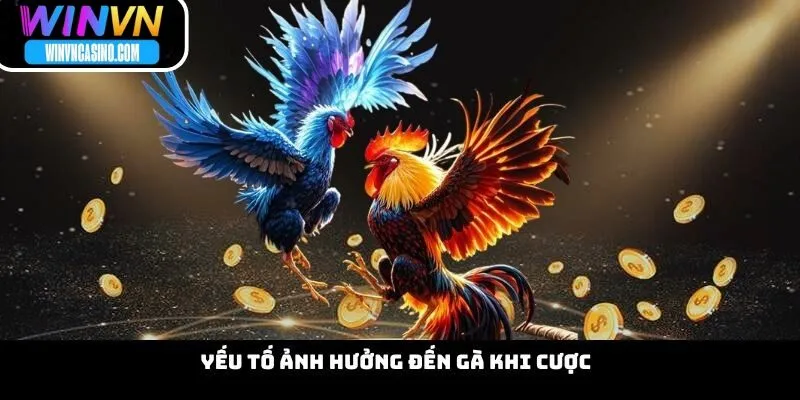 Yếu Tố Ảnh Hưởng Đến Gà Khi Cược